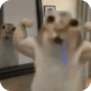 Telegram sticker 💪 Ооооооооо