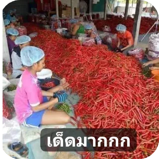 Video sticker 🍲 bangBAW