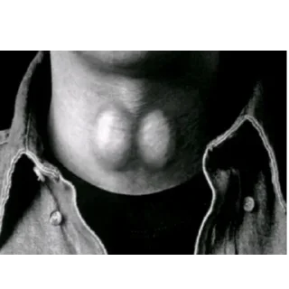 Telegram sticker 👍 اپدیت روزانه: @X_SAHAB_X