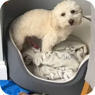 Telegram sticker 👍 اپدیت روزانه: @X_SAHAB_X