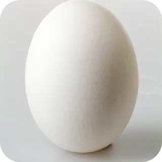 Telegram sticker 👍 اپدیت روزانه: @X_SAHAB_X