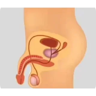 Telegram sticker 👍 اپدیت روزانه: @X_SAHAB_X