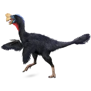 Telegram sticker 🦖 Dinosaurs @PunjabiSticker