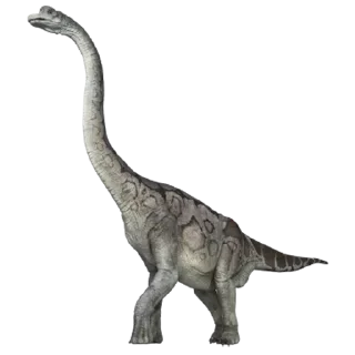 Video sticker 🦖 Dinosaurs @PunjabiSticker