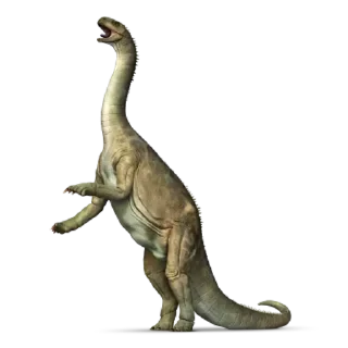 Video sticker 🦖 Dinosaurs @PunjabiSticker