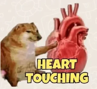 Telegram sticker 🌚 @Sticker_Addaa⚡🎀🌿