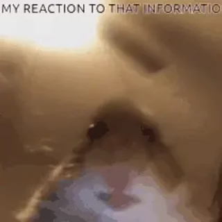 Video sticker 🍣 ((🎀))