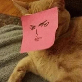 Telegram sticker 😠 Stupid Cattos by @rkntg