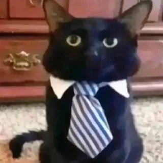 Telegram stiker 🌟 Хи :: @fStikBot