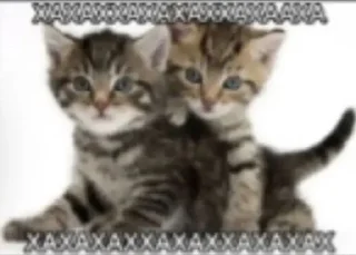 Video sticker 🌟 Хи :: @fStikBot