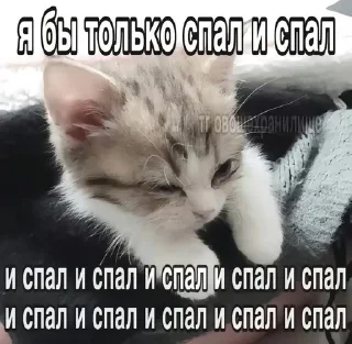 Telegram stiker 🌟 Хи :: @fStikBot