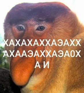 Telegram sticker 🌟 хохо блять :: @fStikBot