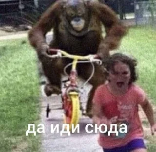 Telegram sticker 🌟 хохо блять :: @fStikBot