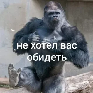 Telegram sticker 🌟 хохо блять :: @fStikBot