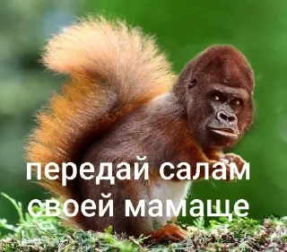 Telegram sticker 🌟 хохо блять :: @fStikBot