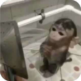 Telegram sticker 😀 اني🥺