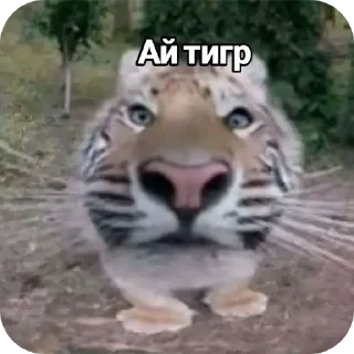 Telegram sticker 👄 Творческий приход