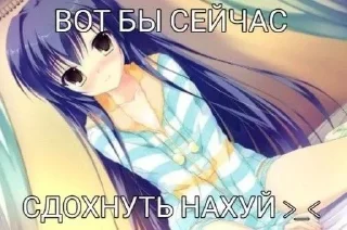 Video sticker 🤍 Пон ты тампон :: @fStikBot