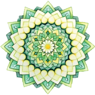 Телеграм стикер 🌺 Whatsapp