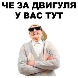 Video sticker 😼 🤬Evil Grannies @stickersb2b