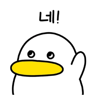Sticker ⭐ 꽉꽉꽉! 곽철이 @moe_sticker_bot