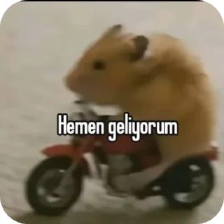 Telegram sticker 🚗 Mizahsal