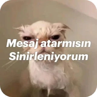 Telegram sticker 🐶 Mizahsal