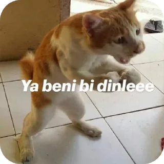 Telegram sticker 🐱 Mizahsal
