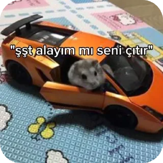 Telegram sticker 🧸 Mizahsal