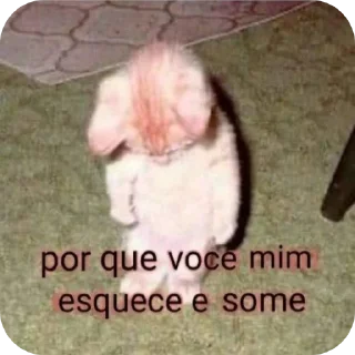 Telegram sticker 🤲 𝑹𝑬𝑨𝑪𝑻𝑰𝑶𝑵𝑺 𝒗𝟏 @Smirn0ff_vdk|