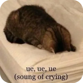 Video sticker 🐱 𝑹𝑬𝑨𝑪𝑻𝑰𝑶𝑵𝑺 𝒗𝟏 @Smirn0ff_vdk|