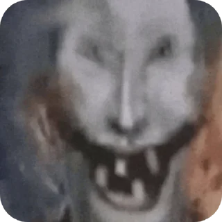 Sticker 👍 kus nash nous