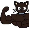 Video sticker 🤩 chococat → @prem...