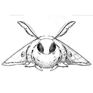 Video sticker 🦋 CeciliaPosting