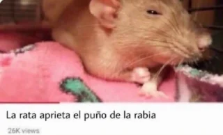 Video sticker 😡 Amytixx愛