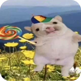 Video sticker 🐶 Cachorros da Kami
