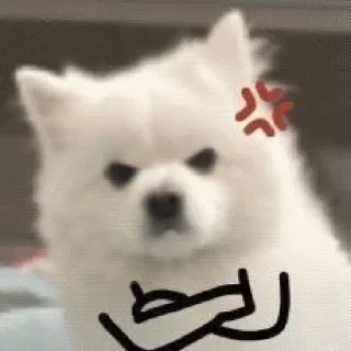 Video sticker 😡 Moods