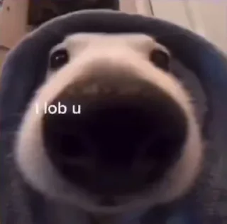 Telegram sticker 🫶 Moods