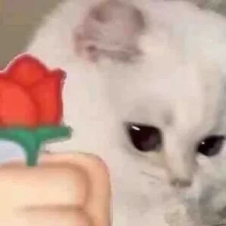 Telegram sticker 🙆‍♀ Moods