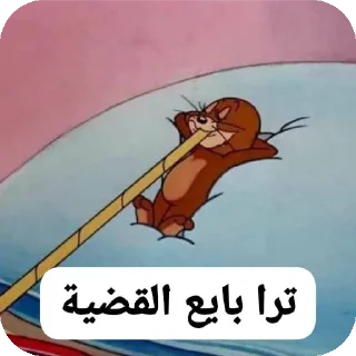 Telegram sticker 🐦 Idk