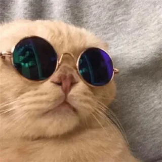 Video sticker 😎 JOZF YT — @stckrRobot