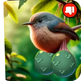 Video sticker 🐦 Айм дилнис