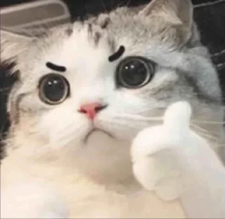 Telegram sticker 👍 Lifeless pack @lord_shadow_36