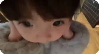 Video sticker 🌟 phewdipie :: @fStikBot