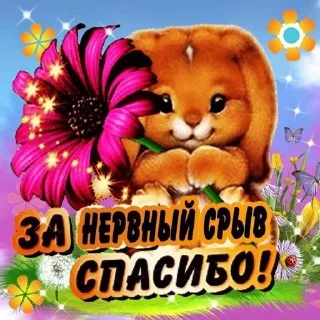 Video sticker 🌟 Открытки для одноклассников ❤️ by @fStikBot