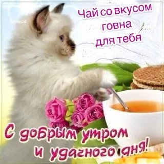 Telegram sticker 🌟 Открытки для одноклассников ❤️ by @fStikBot