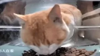 Video sticker 🌟 🖤 @b1ood_moon 🖤 :: @fStikBot