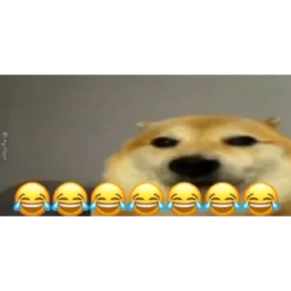 Video sticker 😂 🌌🌀𝒔𝒉𝒂𝒚𝒂𝒏🌀🌌