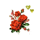 Video sticker 🌹 Yaldaaa26pack
