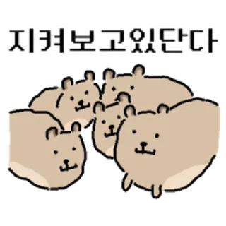 Telegram sticker 😀 바위너굴쓰